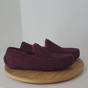 UGG Ascot Slipper Grape Suede Wool Comfort Loafer Men's US 8 NWOB